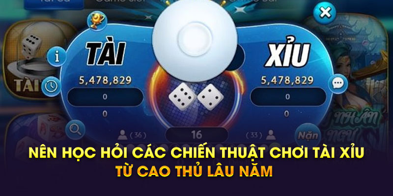 Nên học hỏi các chiến thuật chơi tài xỉu từ cao thủ lâu năm 