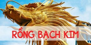 Các loại hình lô đề thống kê có tại rongbachkim